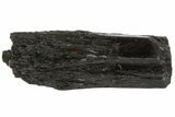 Black Tourmaline (Schorl) Crystal - Namibia #69175-1